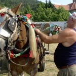 Gablotto e il suo cavallo da lavoro  (foto M. Bavastro)